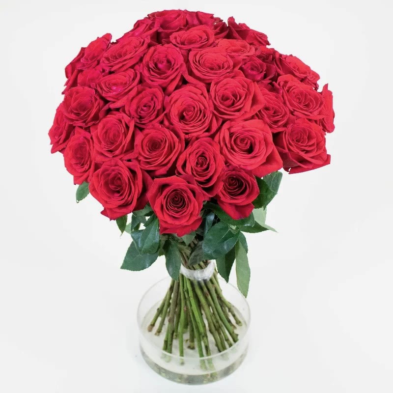 Spiral hand-tie bouquet of red roses